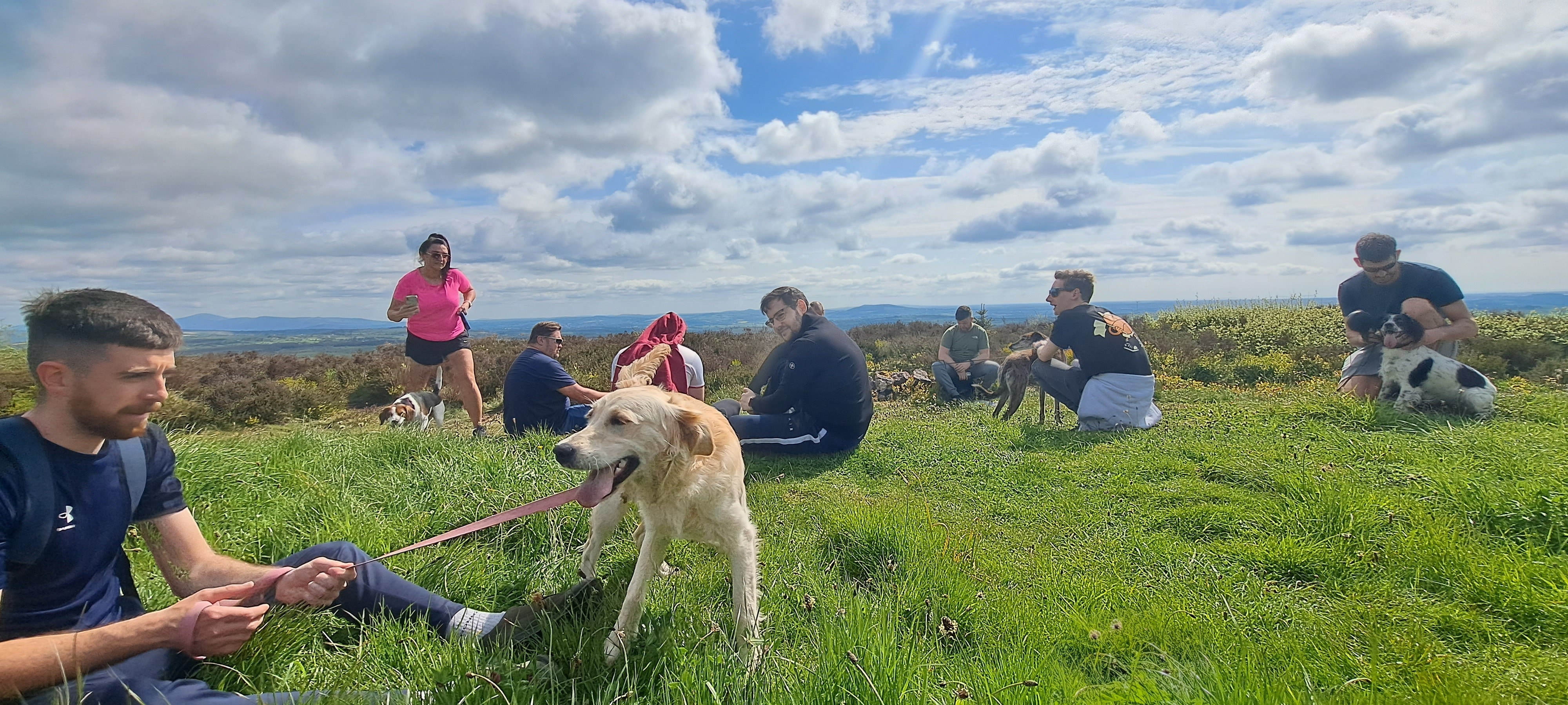 How Pet-Friendly Policies Can Foster a Paw-sitive Workplace Atmosphere