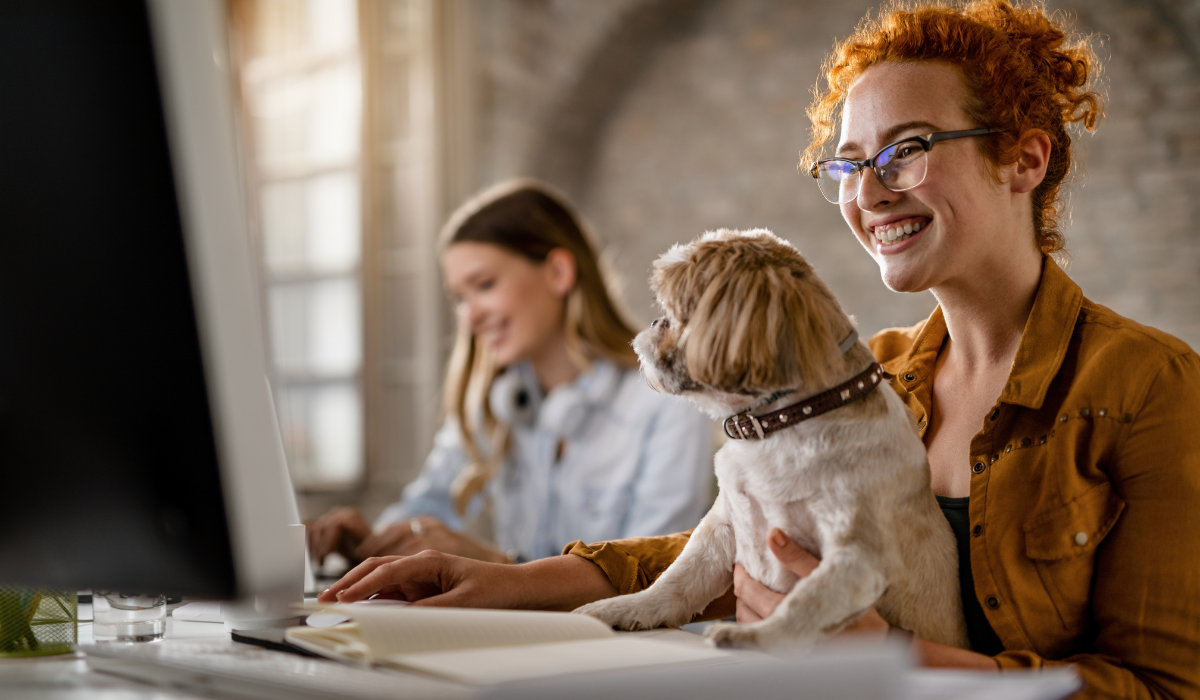 Pet friendly policies at workplace